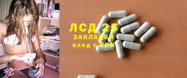 мдпв Гусь-Хрустальный