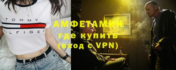 мдпв Гусь-Хрустальный