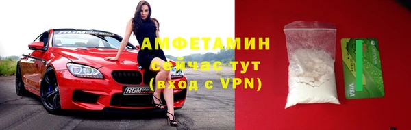 мдпв Гусь-Хрустальный
