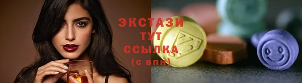 мдпв Гусь-Хрустальный