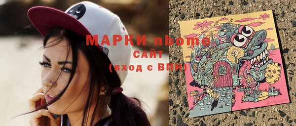 мдпв Гусь-Хрустальный