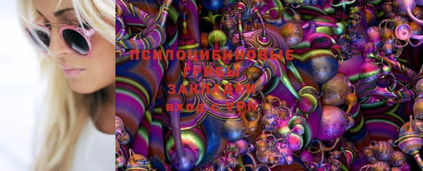 МДПВ Гусиноозёрск