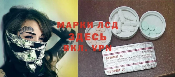 мдпв Гусь-Хрустальный