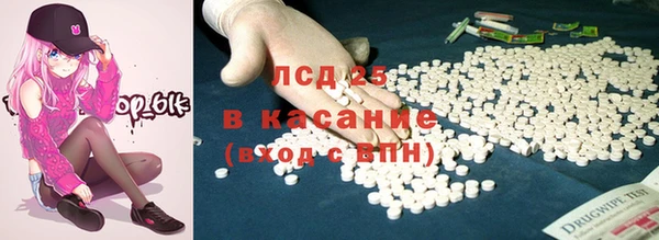 мдпв Гусь-Хрустальный