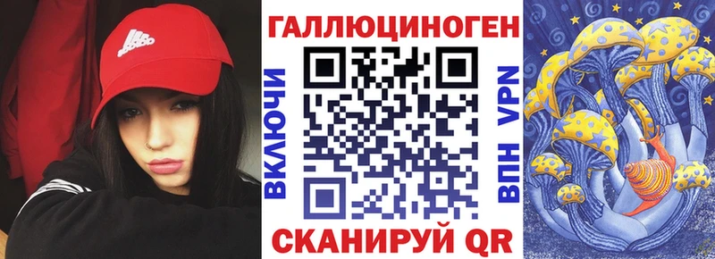 где можно купить   Сегежа  Галлюциногенные грибы Psilocybine cubensis 