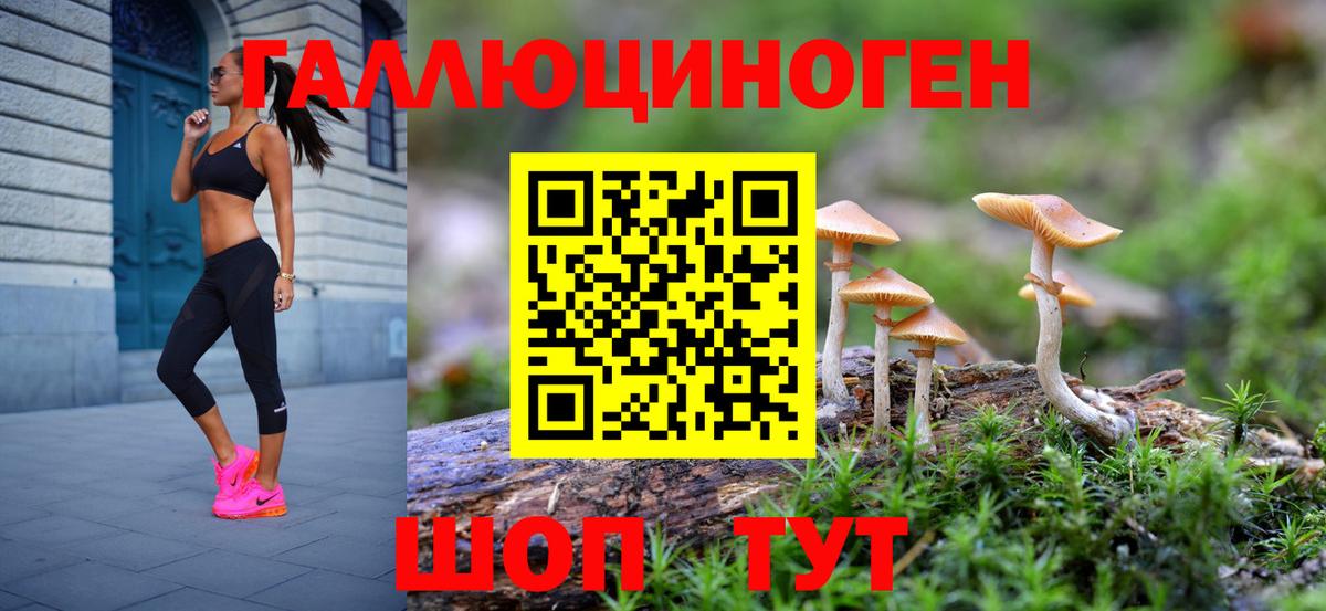 Псилоцибиновые грибы ЛСД Сегежа