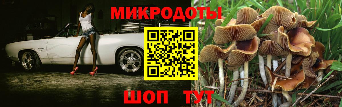Сегежа  дарнет шоп  Вход с VPN  Псилоцибиновые грибы прущие грибы  Галлюциногенные грибы ЛСД 